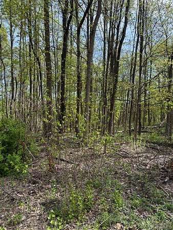 3.4 Acres of Residential Land for Sale in Newburgh, New York