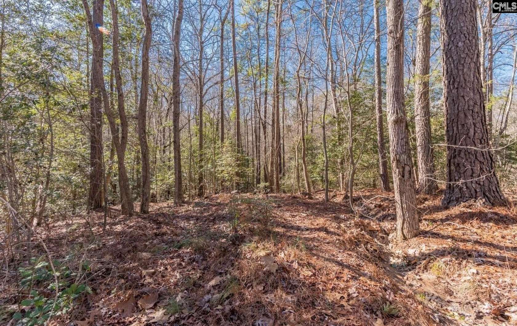 31 Acres of Recreational & Residential Land for Sale in Lexington, South Carolina