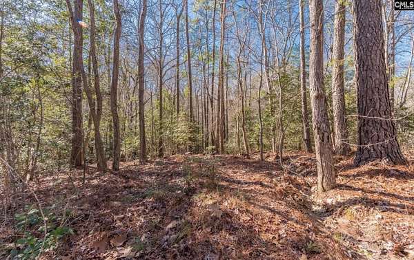 31 Acres of Recreational & Residential Land for Sale in Lexington, South Carolina