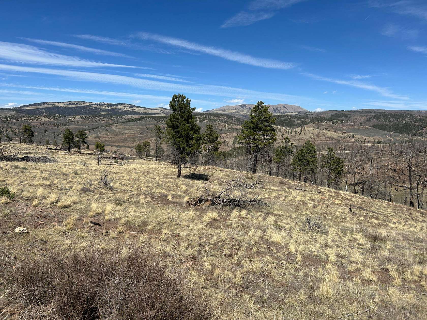 5 Acres of Land for Sale in Fort Garland, Colorado