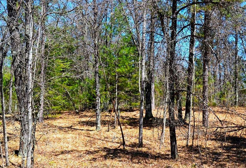 1.9 Acres of Land for Sale in Winter, Wisconsin
