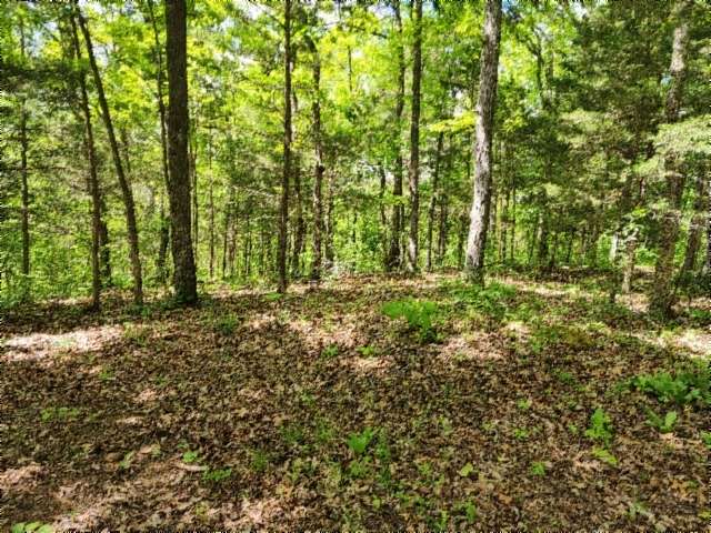 10.1 Acres of Recreational & Residential Land for Sale in Celina, Tennessee