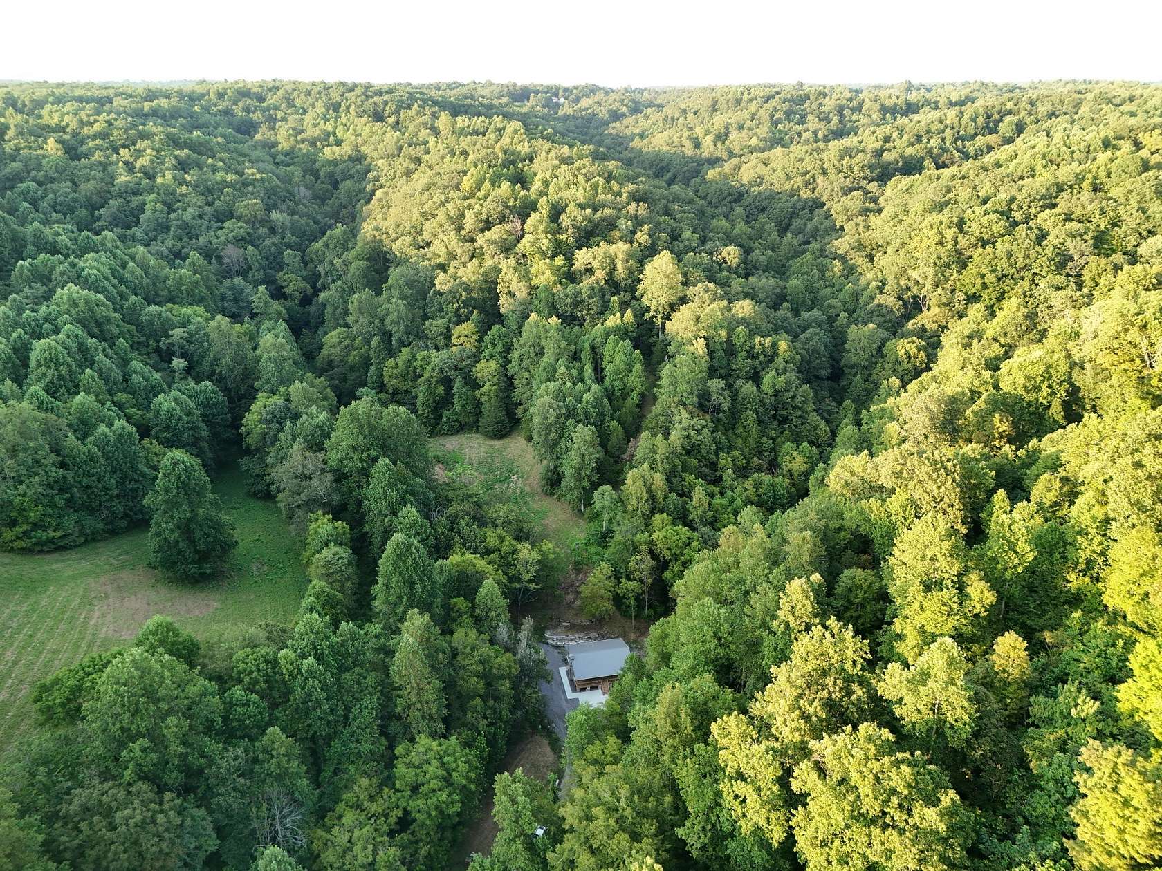 88.3 Acres of Recreational & Residential Land for Sale in Woodbury, Tennessee