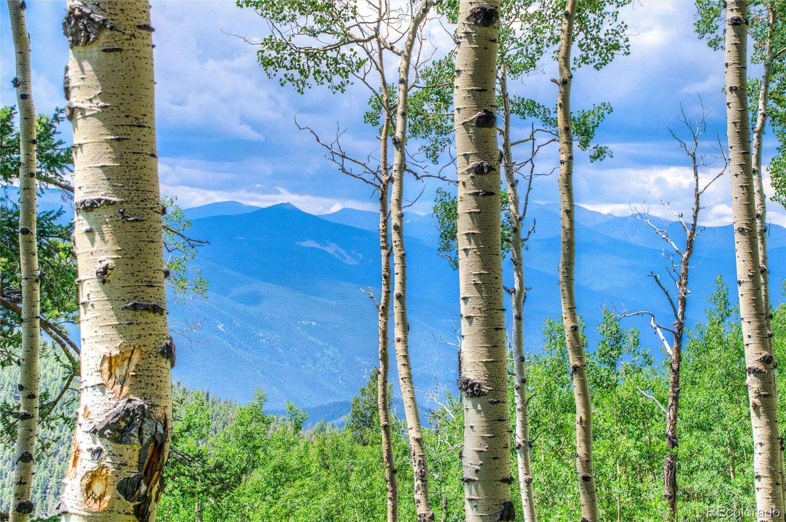 35.1 Acres of Recreational & Residential Land for Sale in Golden, Colorado