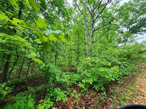 0.28 Acres of Residential Land for Sale in Bella Vista, Arkansas