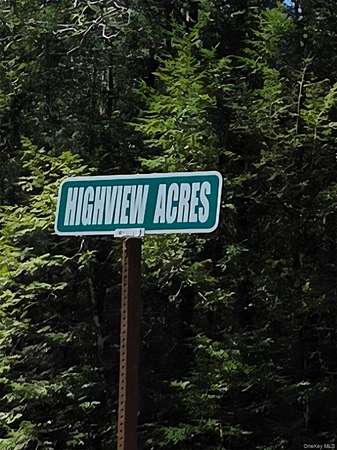 1.68 Acres of Residential Land for Sale in Parksville, New York