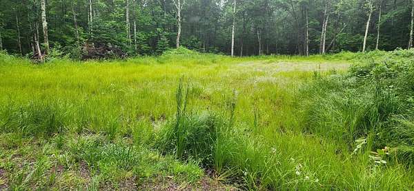 5.12 Acres of Residential Land for Sale in Couderay, Wisconsin