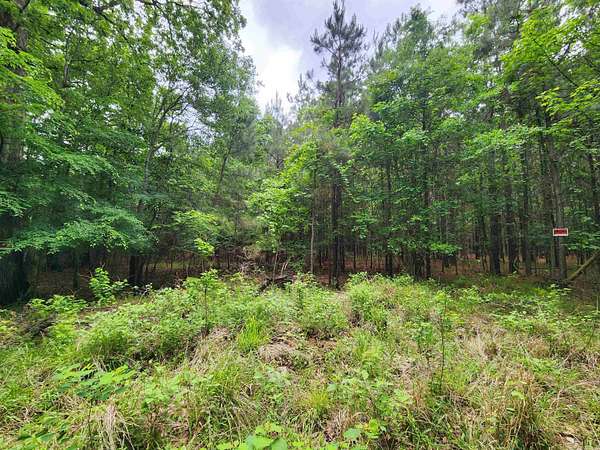 57.7 Acres of Recreational & Residential Land for Sale in Star City, Arkansas