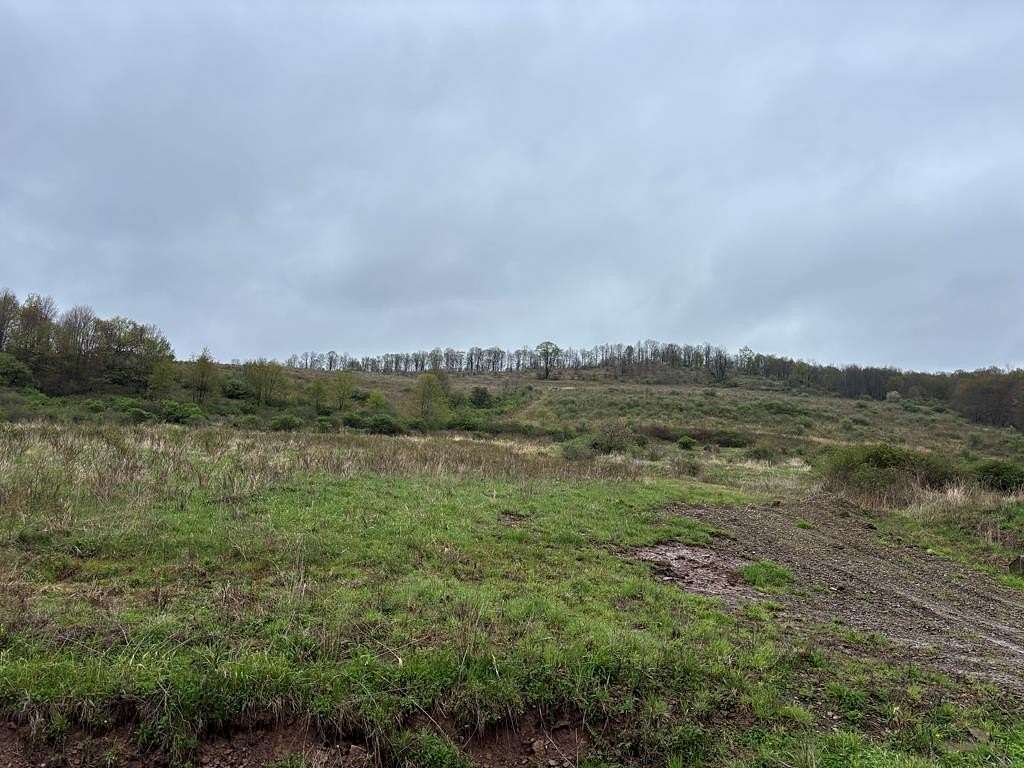 54.4 Acres of Recreational Land for Sale in Shinglehouse, Pennsylvania