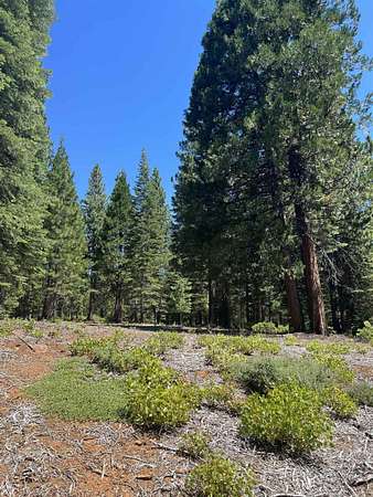 1.15 Acres of Residential Land for Sale in Lake Almanor Peninsula, California