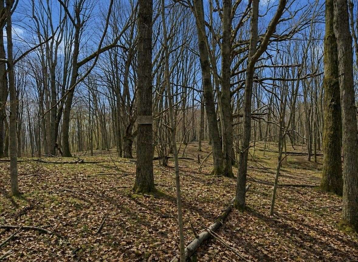 0.9 Acres of Residential Land for Sale in Farwell, Michigan