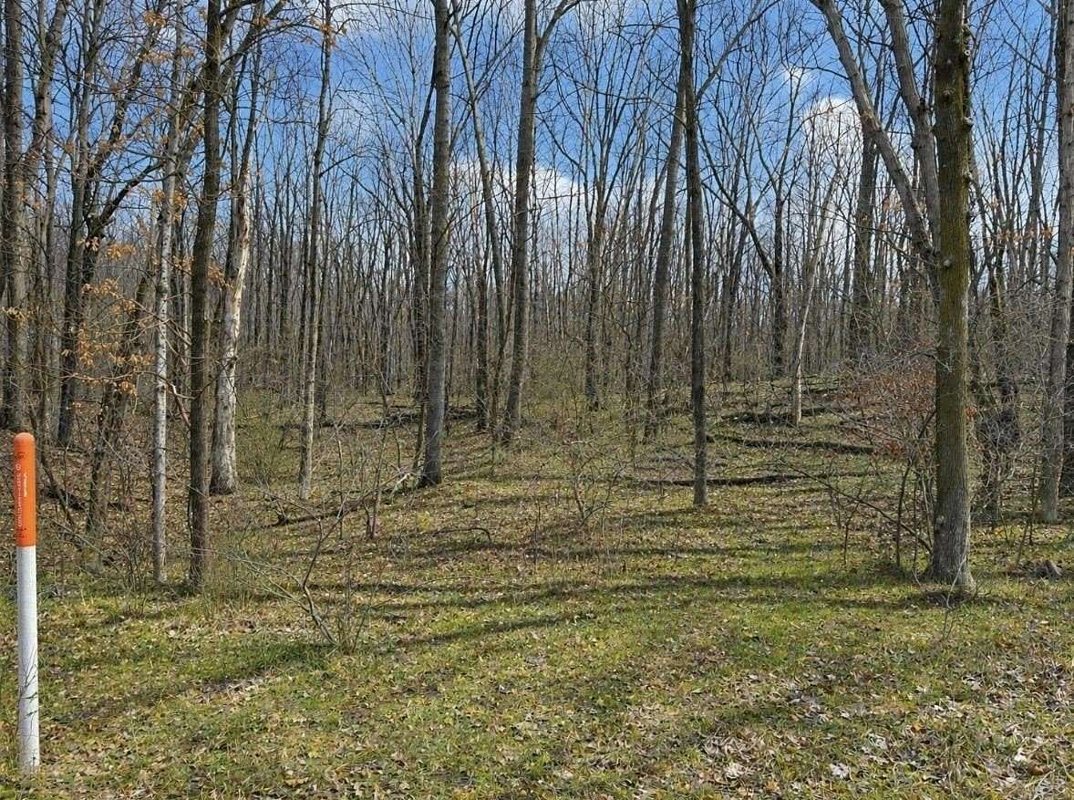 0.76 Acres of Residential Land for Sale in Farwell, Michigan