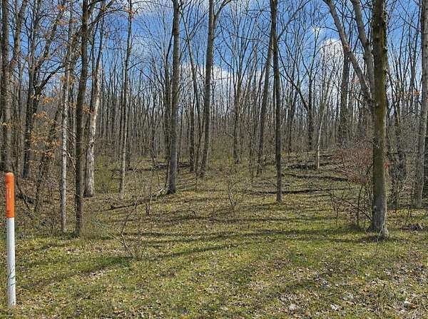 0.76 Acres of Residential Land for Sale in Farwell, Michigan