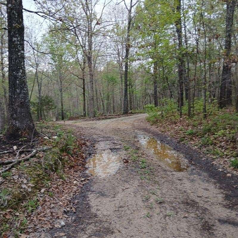 21.7 Acres of Recreational Land for Sale in Peace Valley, Missouri