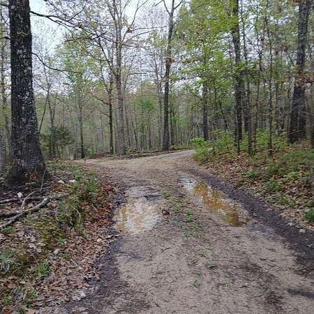 21.7 Acres of Recreational Land for Sale in Peace Valley, Missouri