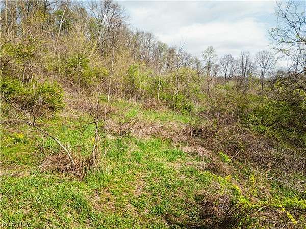 46.6 Acres of Recreational Land for Auction in Alledonia, Ohio