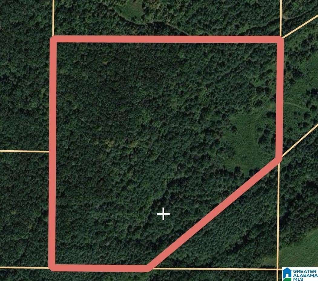 34 Acres of Recreational & Residential Land for Sale in Springville, Alabama