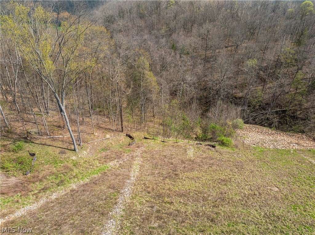 63.7 Acres of Recreational Land for Auction in Alledonia, Ohio