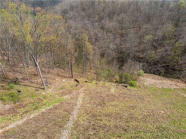 63.7 Acres of Recreational Land for Auction in Alledonia, Ohio