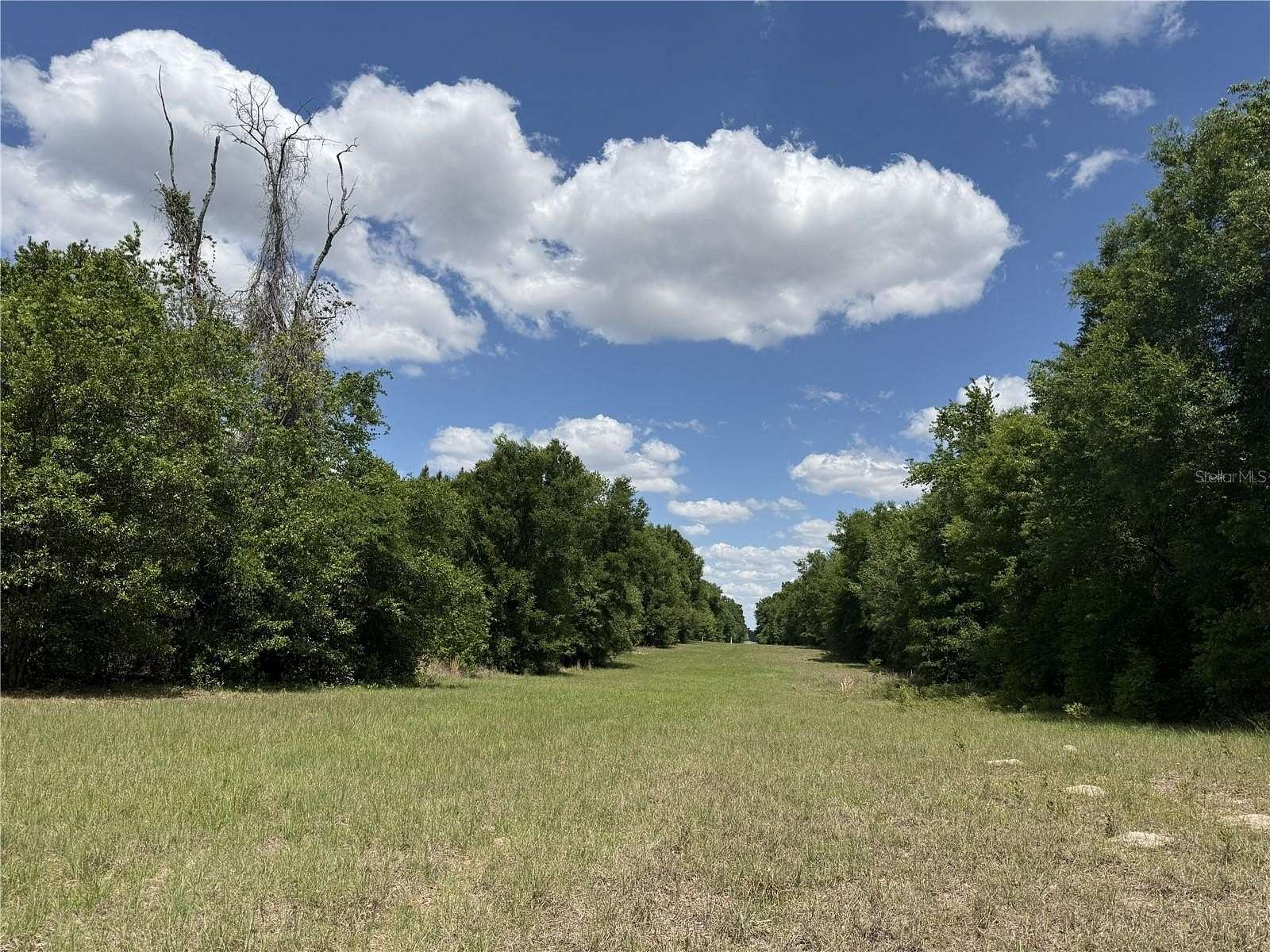16.3 Acres of Land for Sale in Chiefland, Florida