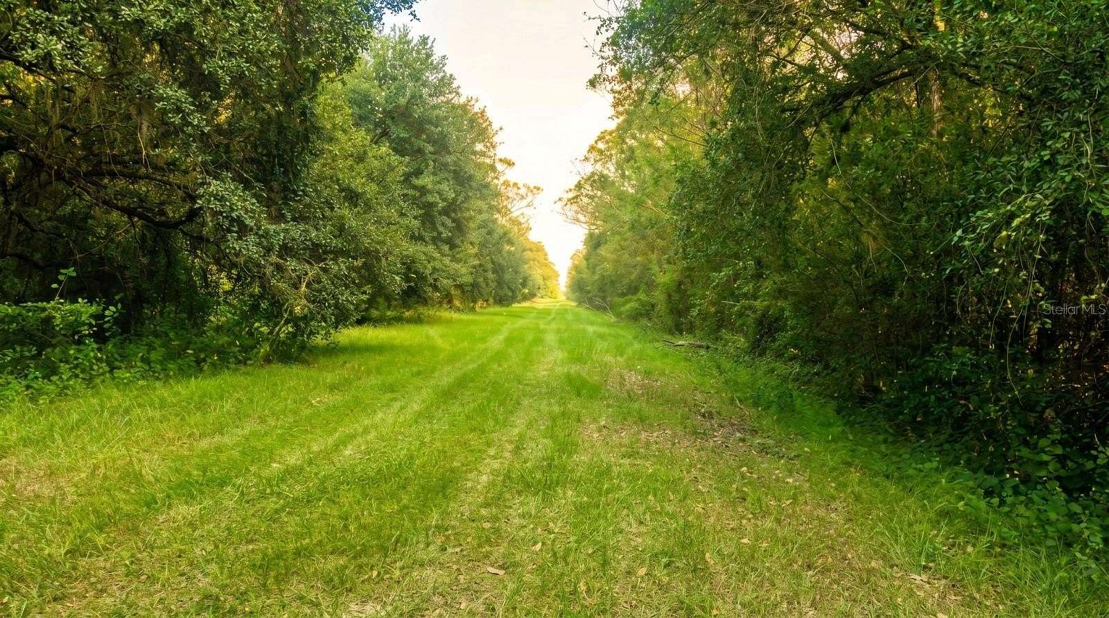 1.25 Acres of Residential Land for Sale in Okeechobee, Florida