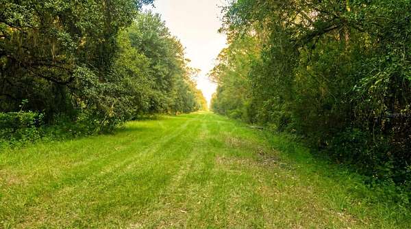 1.25 Acres of Residential Land for Sale in Okeechobee, Florida
