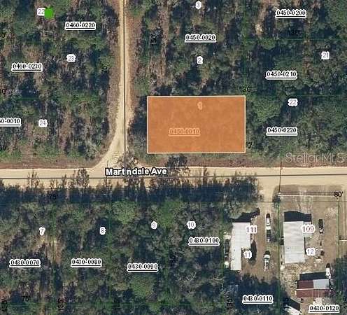 0.22 Acres of Residential Land for Sale in Interlachen, Florida
