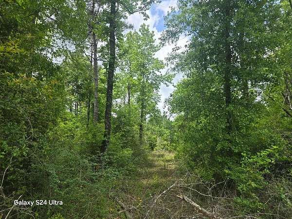 7.76 Acres of Residential Land for Sale in Bon Wier, Texas