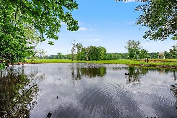 55.4 Acres of Agricultural & Residential Land for Sale in Douglass, Texas