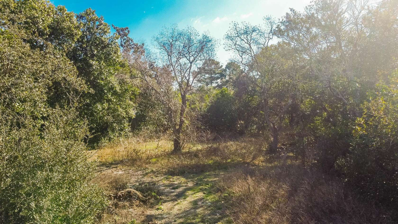 0.25 Acres of Residential Land for Sale in Panama City Beach, Florida