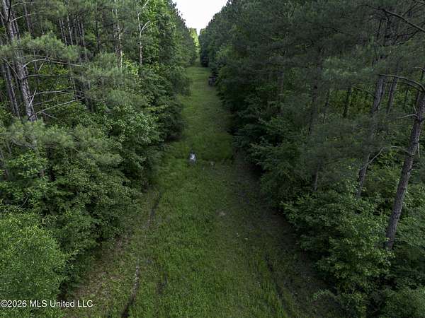 25.8 Acres of Recreational & Residential Land for Sale in Georgetown, Mississippi