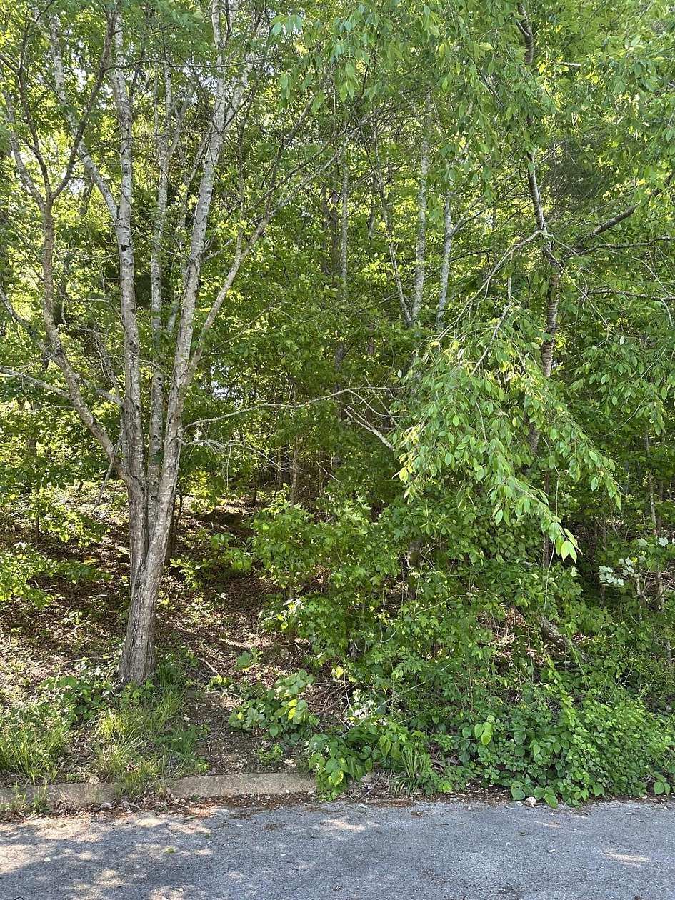 Residential Land for Sale in Ooltewah, Tennessee