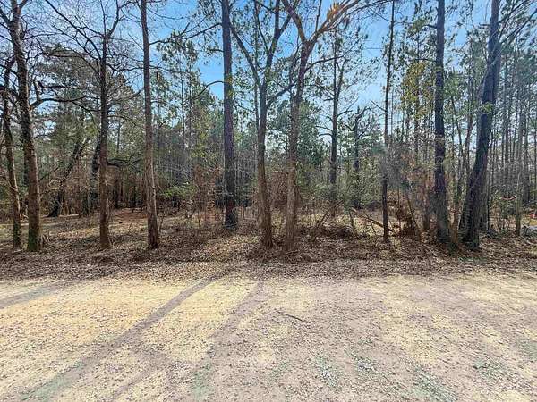 1.65 Acres of Residential Land for Sale in Lumberton, Texas