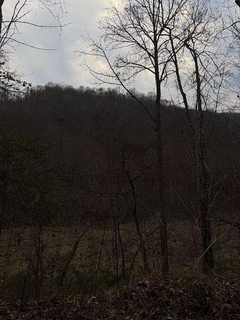 45 Acres of Recreational & Residential Land for Sale in Flat Lick, Kentucky