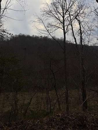 45 Acres of Recreational & Residential Land for Sale in Flat Lick, Kentucky