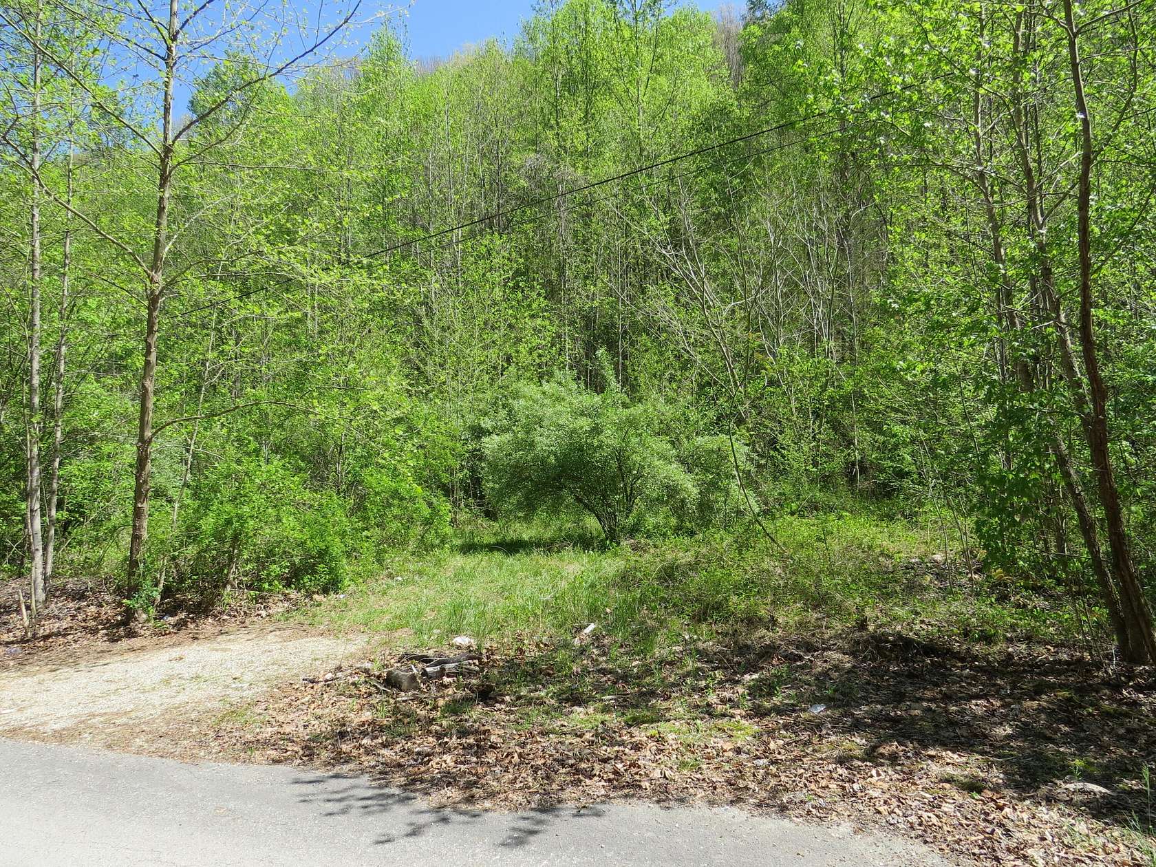 16.5 Acres of Land for Sale in Flat Lick, Kentucky