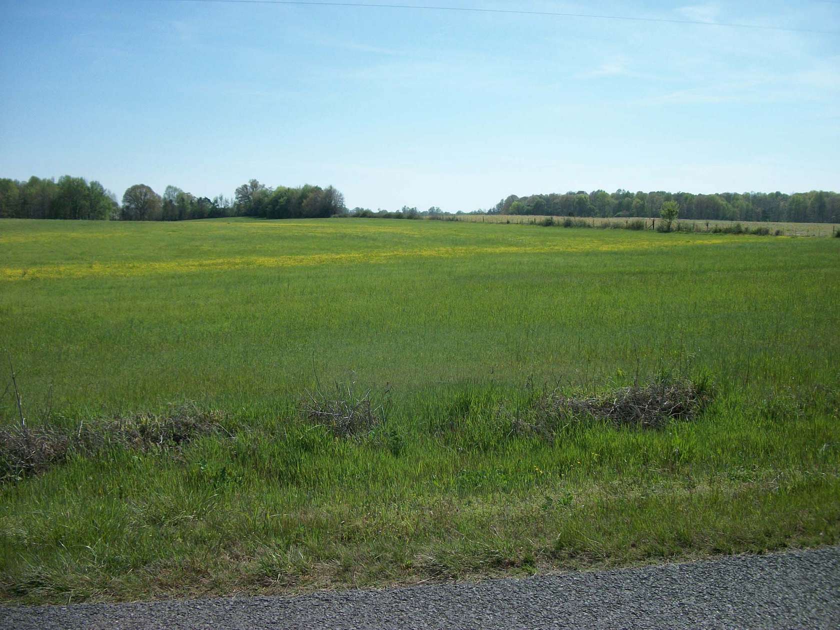 36.9 Acres of Agricultural Land for Auction in Woodbury, Tennessee