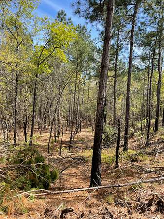 5 Acres of Land for Sale in Cameron, North Carolina