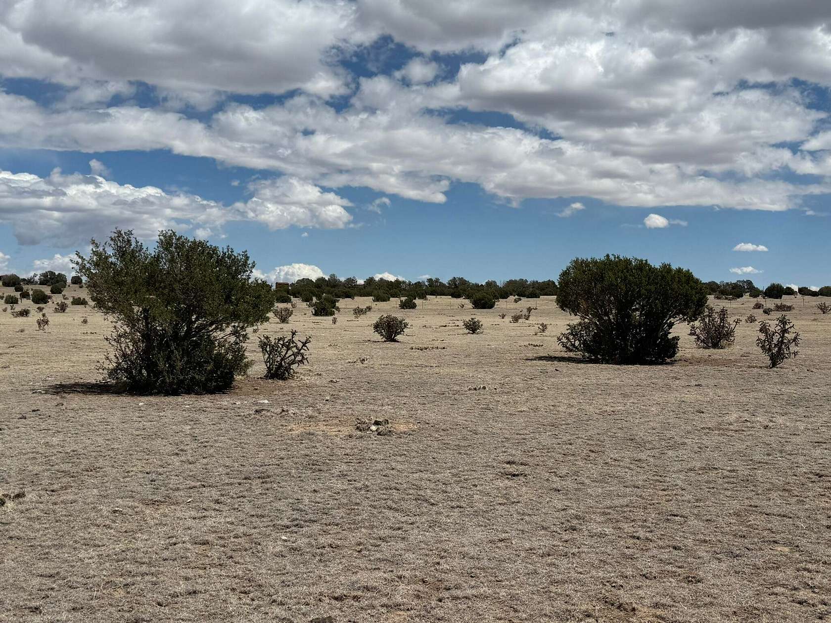 40 Acres of Land for Sale in Walsenburg, Colorado