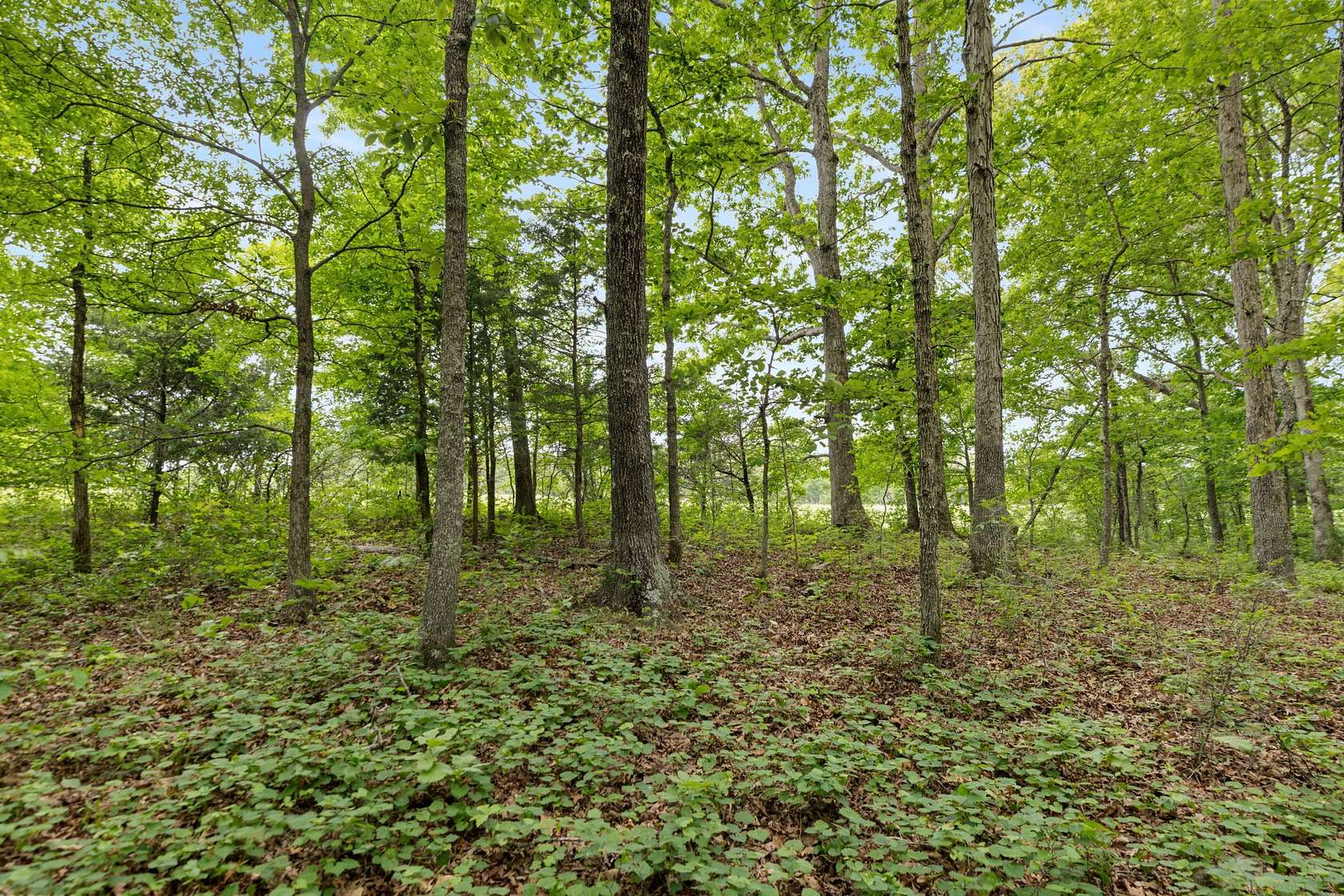 28 Acres of Land for Sale in Dickson, Tennessee