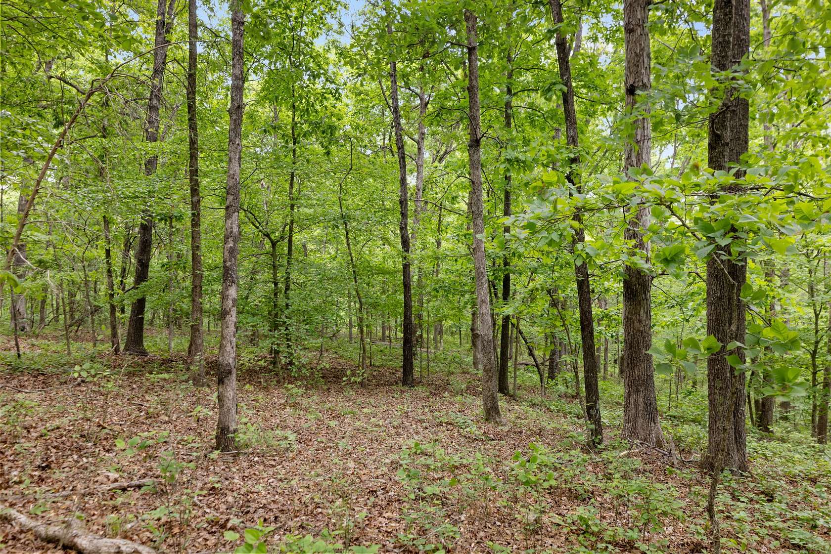 27 Acres of Land for Sale in Dickson, Tennessee