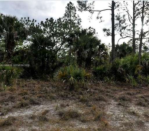 0.23 Acres of Residential Land for Sale in North Port, Florida