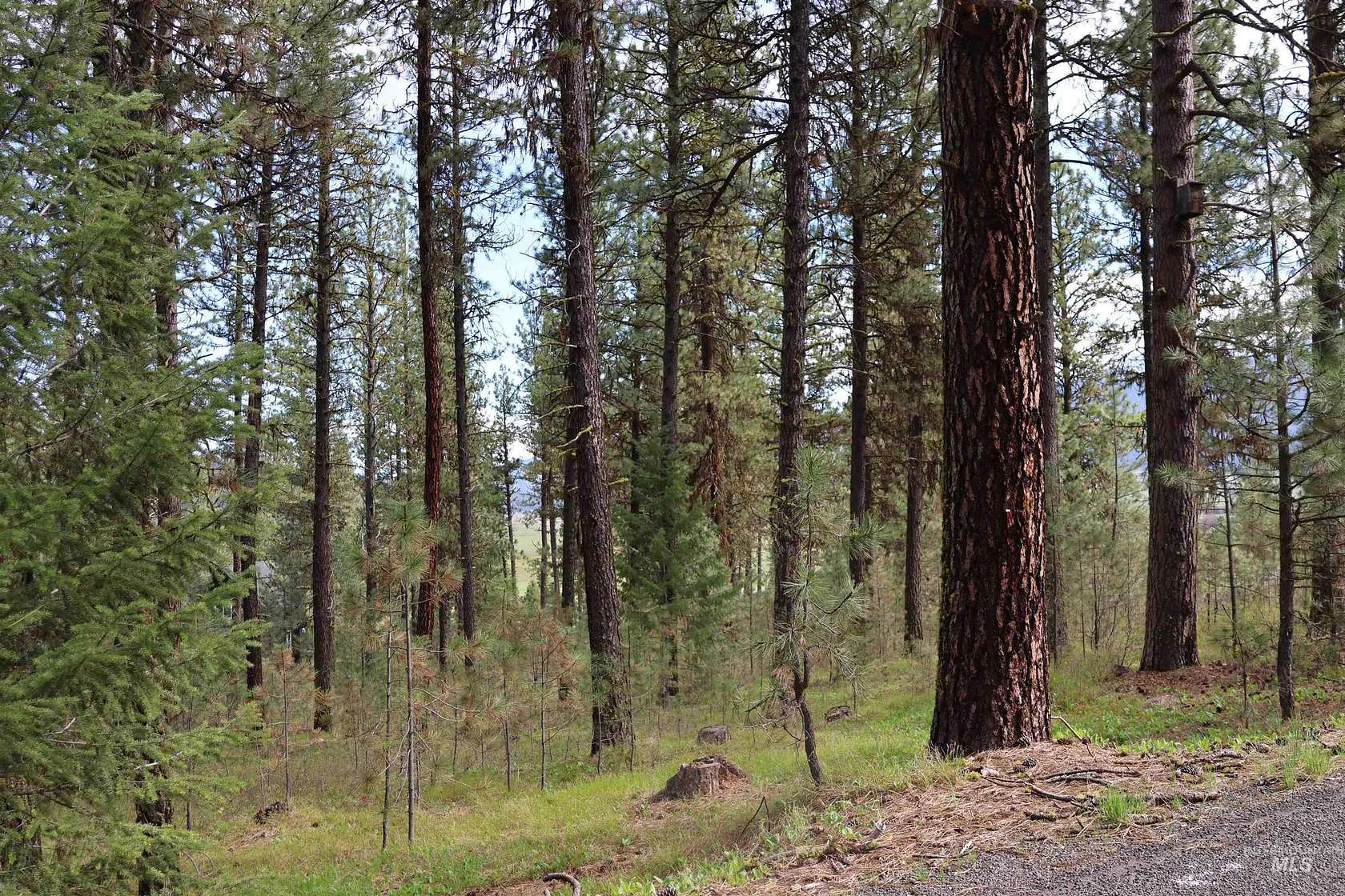 0.69 Acres of Land for Sale in New Meadows, Idaho