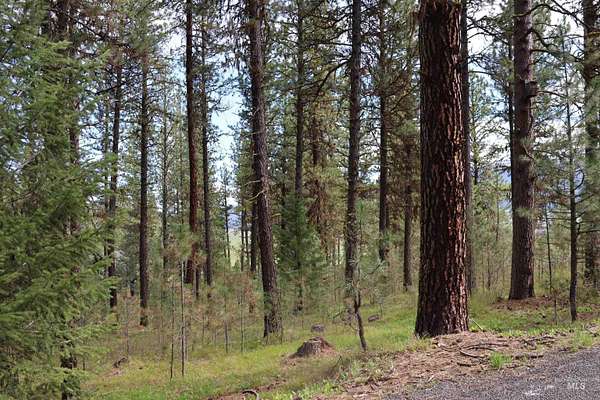 0.69 Acres of Land for Sale in New Meadows, Idaho