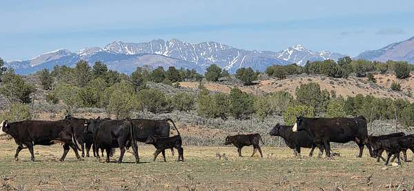 80 Acres of Land for Sale in Hesperus, Colorado