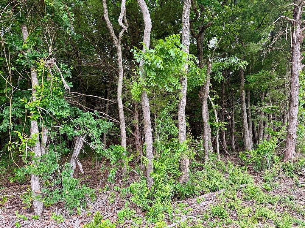 10 Acres of Land for Sale in Honey Grove, Texas