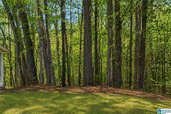 1 Acre of Residential Land for Sale in Calera, Alabama