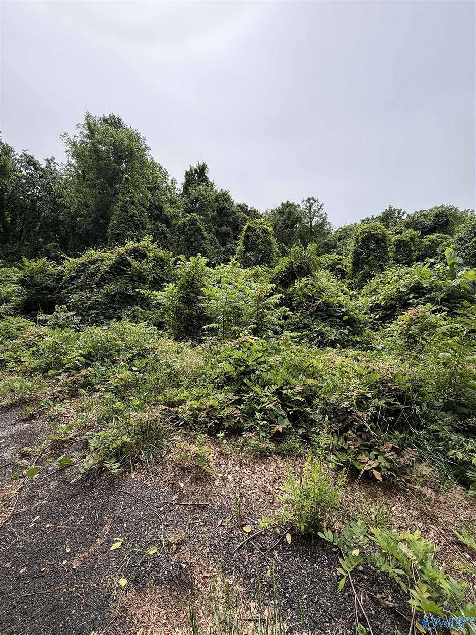 Land for Sale in Guntersville, Alabama