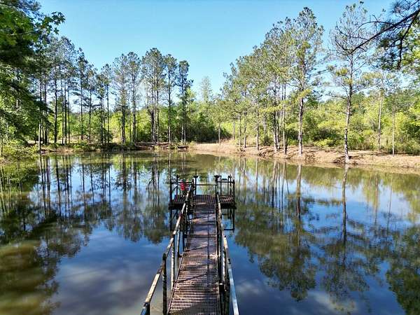 26.5 Acres of Recreational & Residential Land for Sale in Poplarville, Mississippi