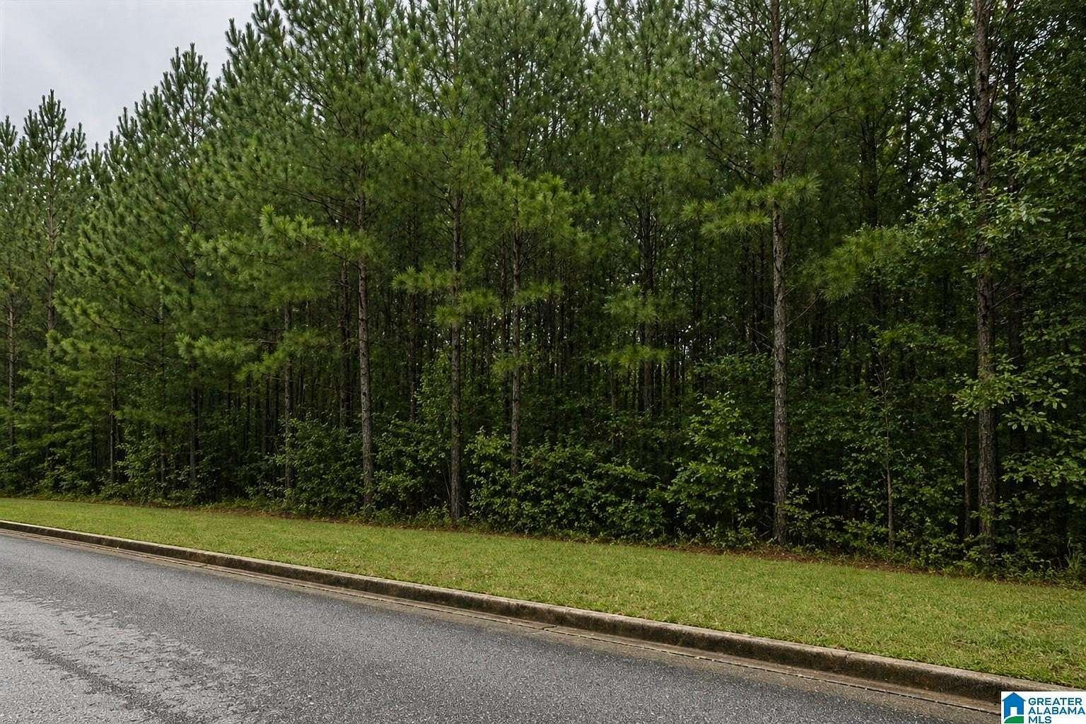 1.65 Acres of Residential Land for Sale in Calera, Alabama